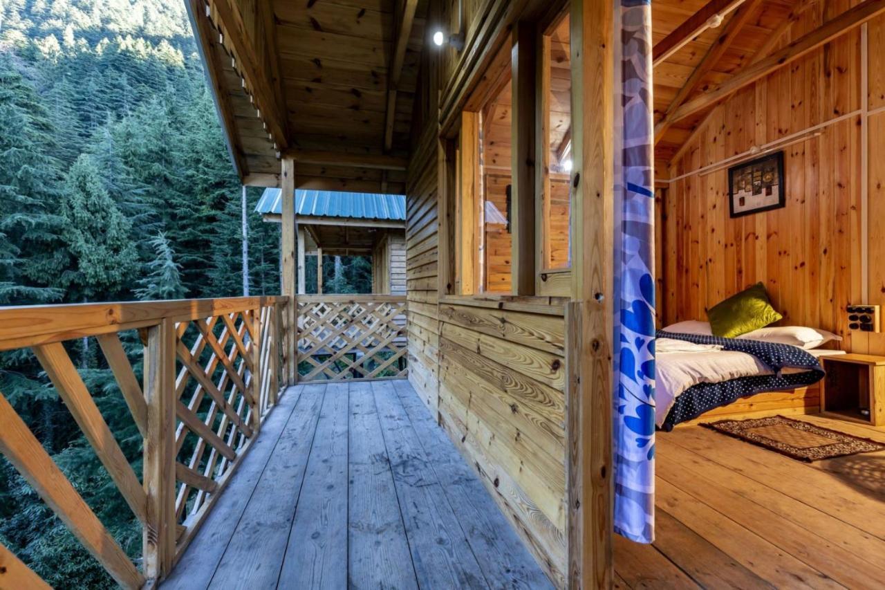 Mid Conifer Cottage Далхаузи Екстериор снимка